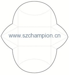 Image1